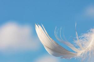 pluma blanca como la nieve sobre fondo de cielo azul con nubes, concepto de ligereza foto