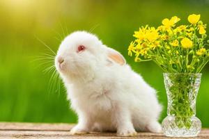 divertido conejito de orejas blancas sobre un fondo de madera con un ramo de flores en un día soleado en la naturaleza foto