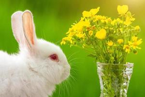 divertido conejito de orejas blancas sobre un fondo de madera con un ramo de flores en un día soleado en la naturaleza foto