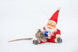 cute rat on white background Santa Claus insulator. photo