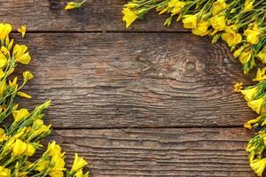 yellow flowers are framed on a wooden background, beautiful spring and festive background. photo