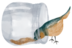 casinha de passarinho pintada à mão em aquarela png