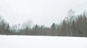 nieve en un día de invierno video