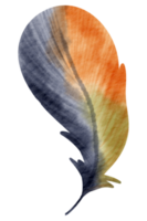 plume aquarelle peinture à la main png