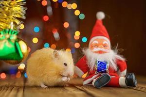 cute fluffy hamster and Santa Claus on wooden background bright bokeh festive atmosphere photo