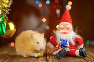 cute fluffy hamster and Santa Claus on wooden background bright bokeh festive atmosphere photo