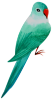 pintura de mano de acuarela de pajarito png