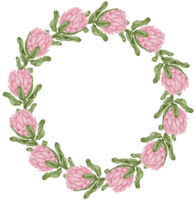 aquarela rosa floral botânico png