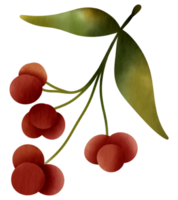 herfst element waterverf ornament png