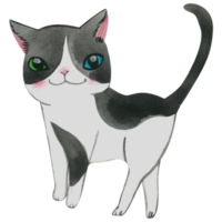 söt katt djur- karaktär vattenfärg png