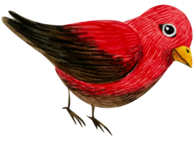 poco uccello acquerello mano dipingere png