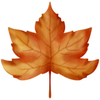 herbstelement aquarellverzierung png