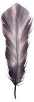 Feather watercolor hand paint png