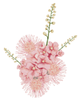 waterverf roze bloemen botanisch png