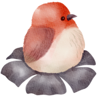 Vogelhaus Aquarell handgemalt png