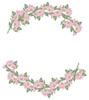 acuarela rosa floral botánico png