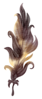 Feather watercolor hand paint png