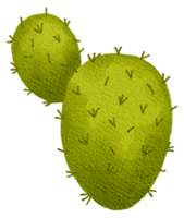 cactus sappig fabriek waterverf png