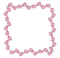 acuarela rosa floral botánico png