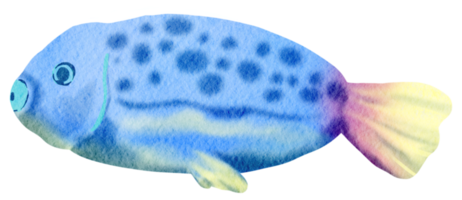 sotto il mare animale acquerello png