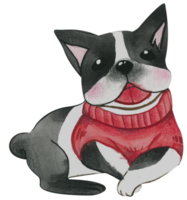 Cute dog animal character watercolor png