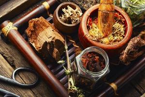 Medicinal herbs set. photo