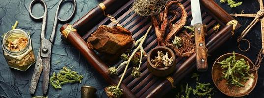 Tray with healing herbs. photo