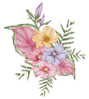 aquarela violeta floral botânico png