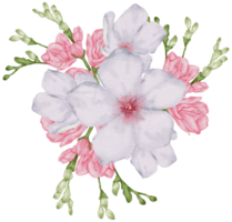 Watercolor Pink Floral Botanical png