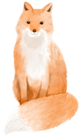 aquarela de animal adorável da floresta png