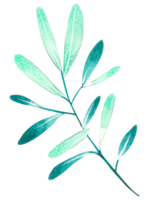foliage watercolor leaf hand paint png