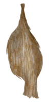 pajarera acuarela pintada a mano png