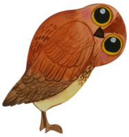 Cute owl animal character watercolor png