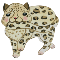 lindo personaje animal acuarela png