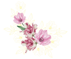 tulipa rosa botânica floral aquarela png