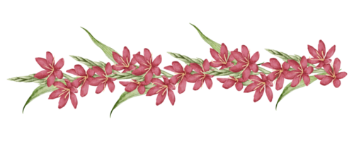 vattenfärg rosa blommig botanisk png