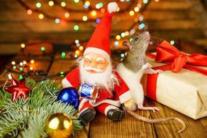 happy rat on with Santa Claus and gift on wooden background multicolored bokeh photo