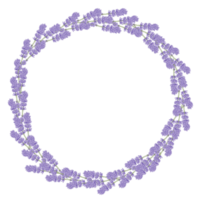 acquerello viola floreale botanico png