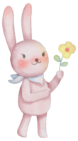 Cute rabbit animal character watercolor png