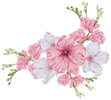 waterverf roze bloemen botanisch png