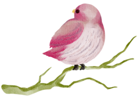 Vogelhaus Aquarell handgemalt png