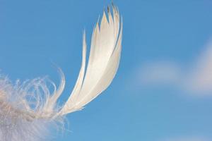 snow-white feather on blue sky background with clouds, lightness concept photo