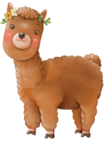 Cute alpaca animal character watercolor png