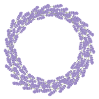 aquarelle violet floral botanique png