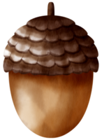 herfst element waterverf ornament png