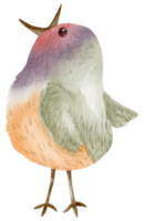 Vogelhaus Aquarell handgemalt png