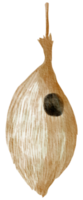 pajarera acuarela pintada a mano png