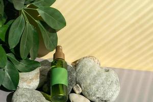 A bottle of green color with a spray bottle lies on the stones, next to the green leaves photo