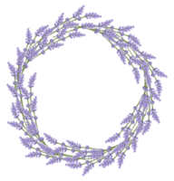 aquarelle violet floral botanique png