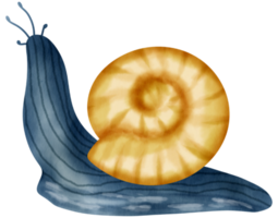 herfst element waterverf ornament png